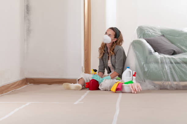 Reliable Mold Remediation contractor in Portsmouth, VA by Car Mold Remediation
